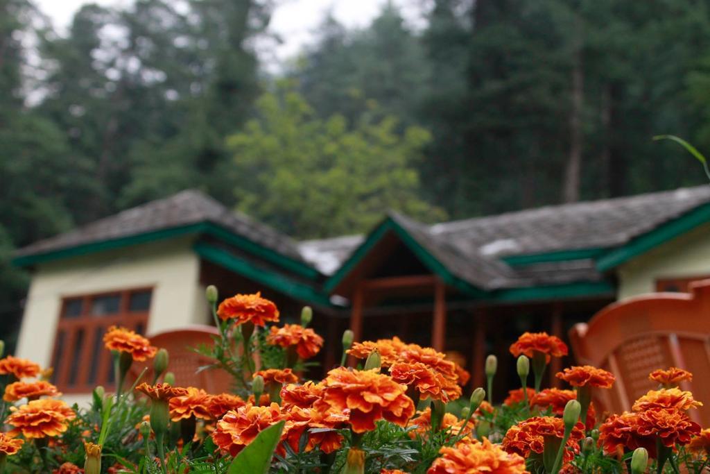كاسول Parvati Kuteer Riverside Resort المظهر الخارجي الصورة